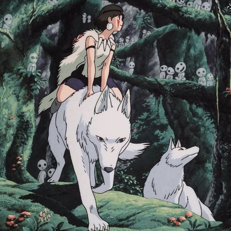 Princess Mononoke photo