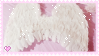 angel wings
